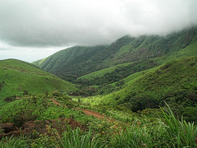 Mount Nimba Strict Nature Reserve